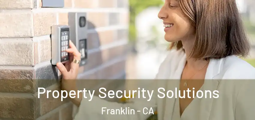  Property Security Solutions Franklin - CA